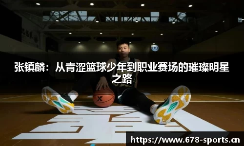333体育